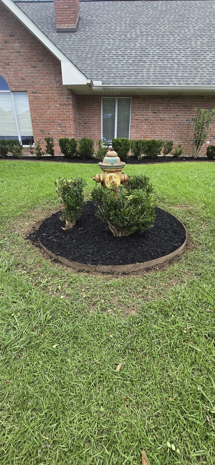 A finished Steven Barnes job — fresh mulched bed and tree at an Acadiana home